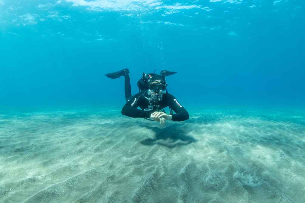 Diver
