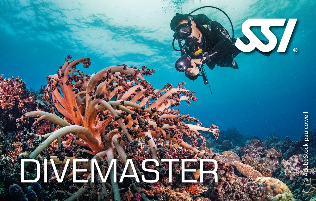 Divemaster Tenerife