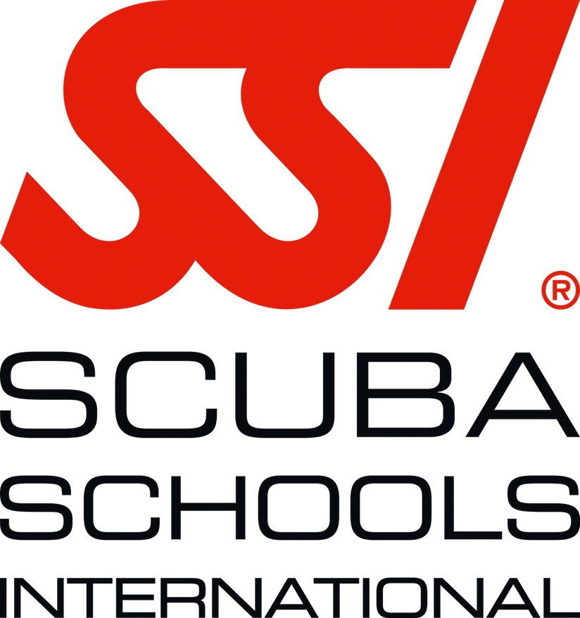 SSI International